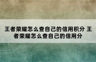 王者荣耀怎么查自己的信用积分 王者荣耀怎么查自己的信用分